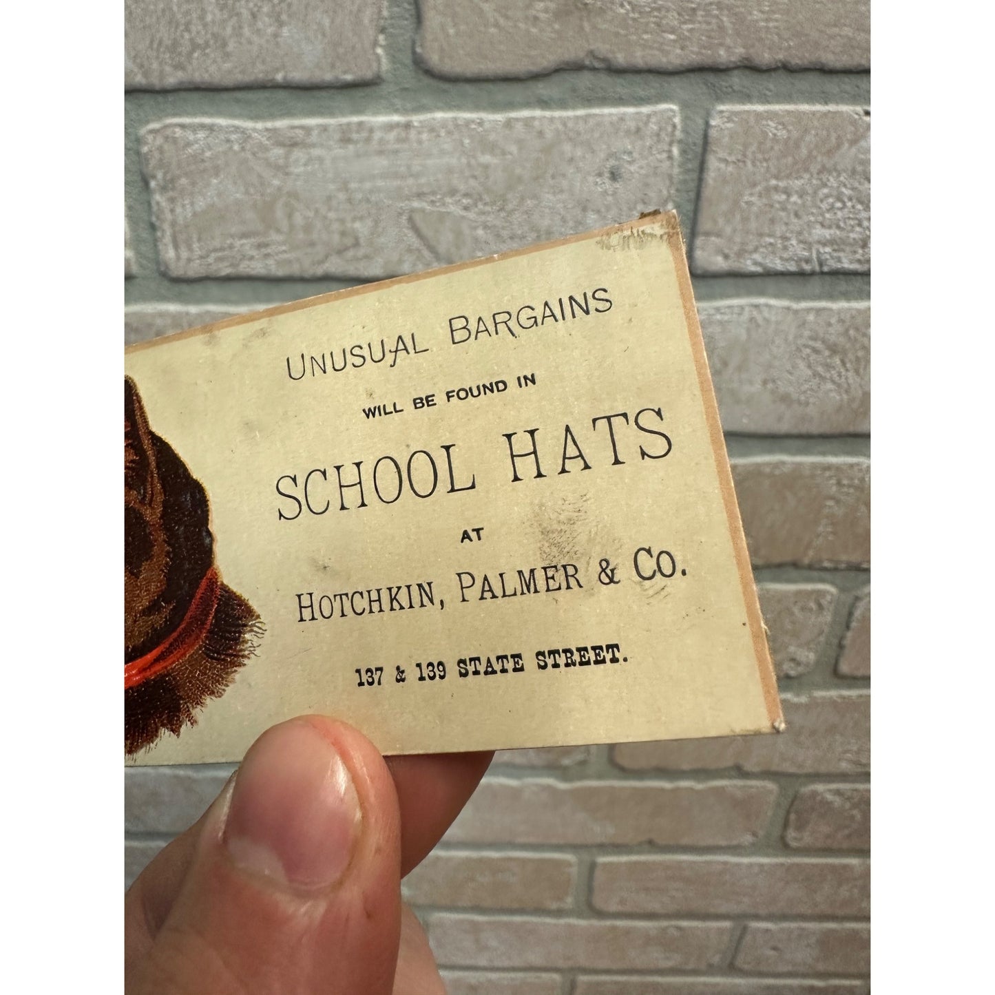 Antique Hotchkin, Palmer, & Co. Chicago Advertising Trade Card School Hats Cat