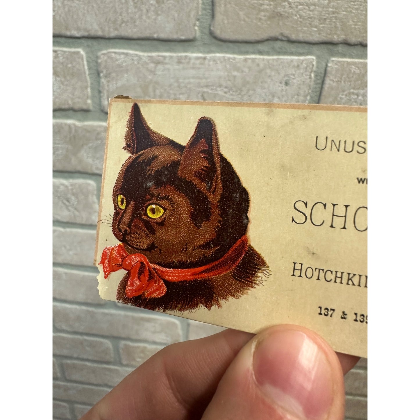 Antique Hotchkin, Palmer, & Co. Chicago Advertising Trade Card School Hats Cat