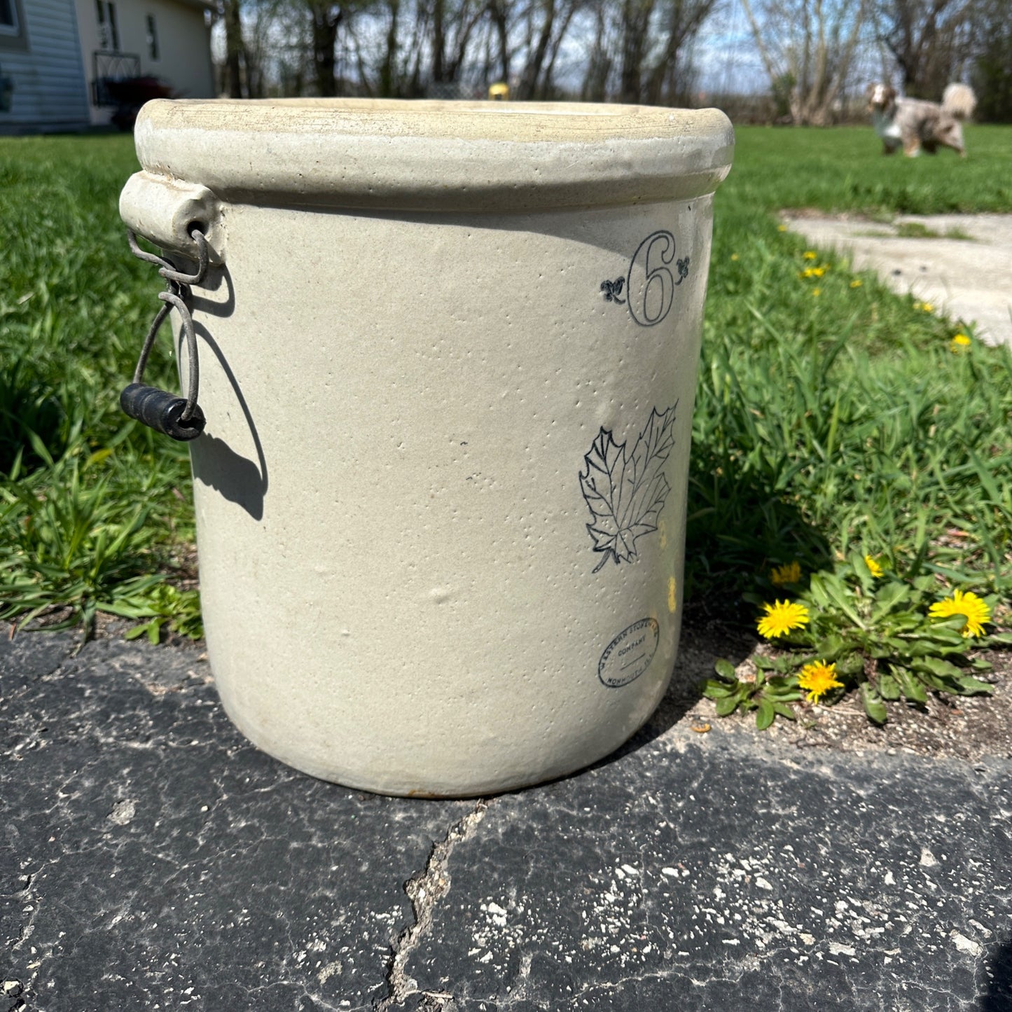 6 Gallon Western Stoneware Crock w/ Oak Leaf Bail Handles Primitive Country Store