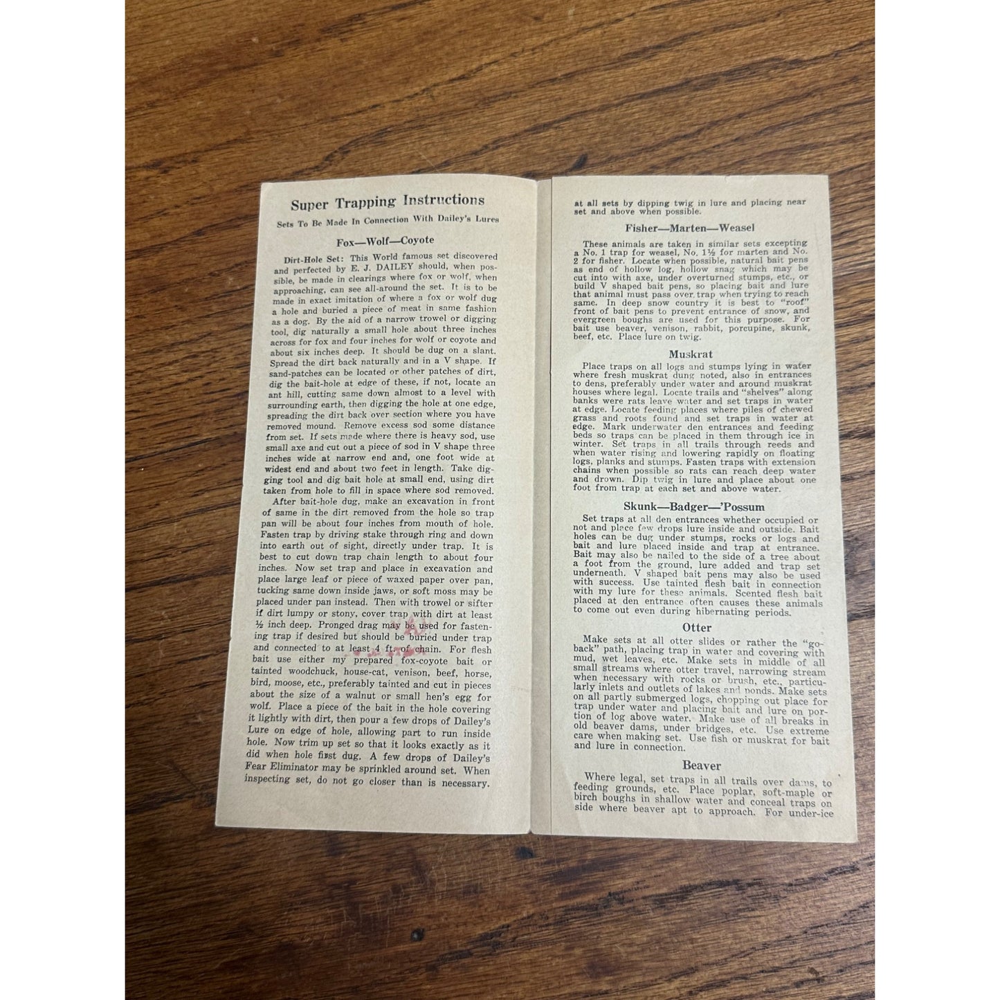 Vintage 1920s E. J. Dailey Super Trapping Methods Hunting Brochure Tips Guide