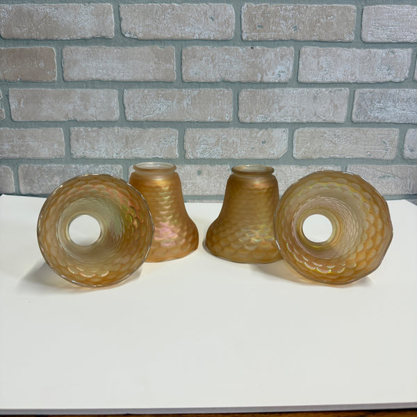 Wall & Ceiling Fixtures