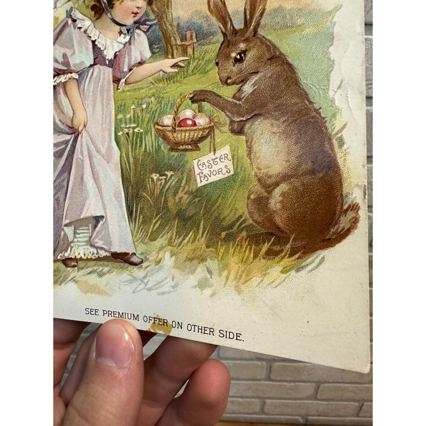 Antique Victorian Trade Card 1890s Easter Bunny & Child Woolson Spice Co.