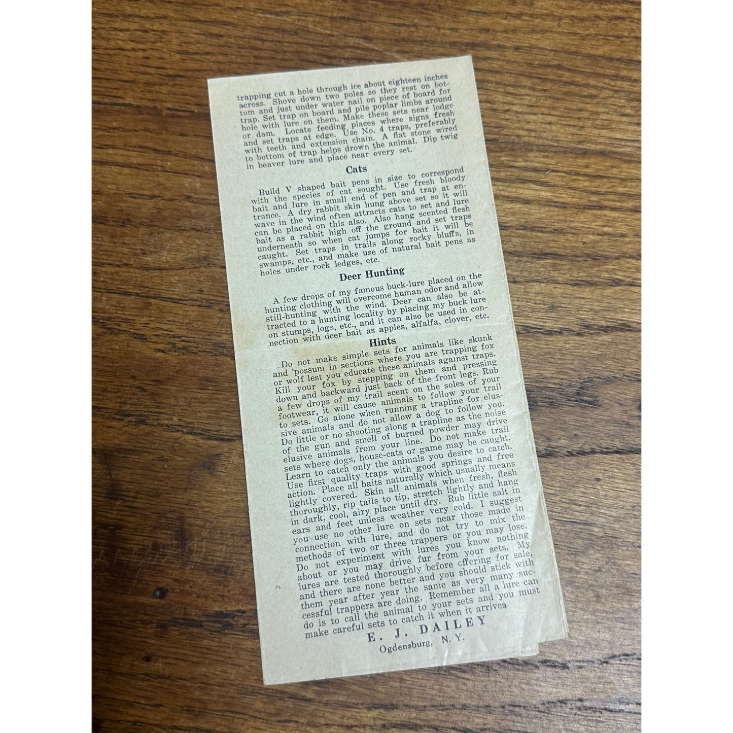 Vintage 1920s E. J. Dailey Super Trapping Methods Hunting Brochure Tips Guide