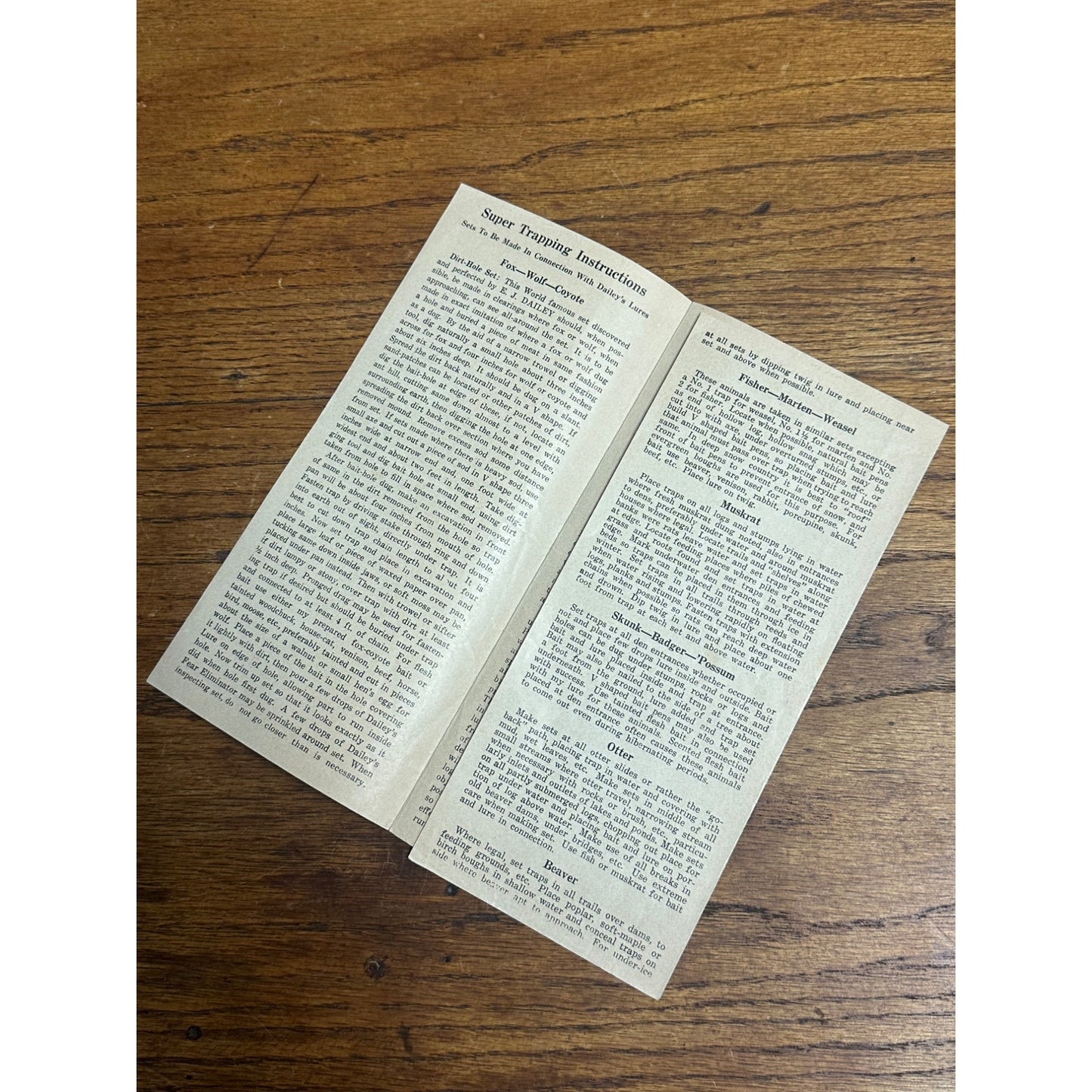 Vintage 1920s E. J. Dailey Super Trapping Methods Hunting Brochure Tips Guide