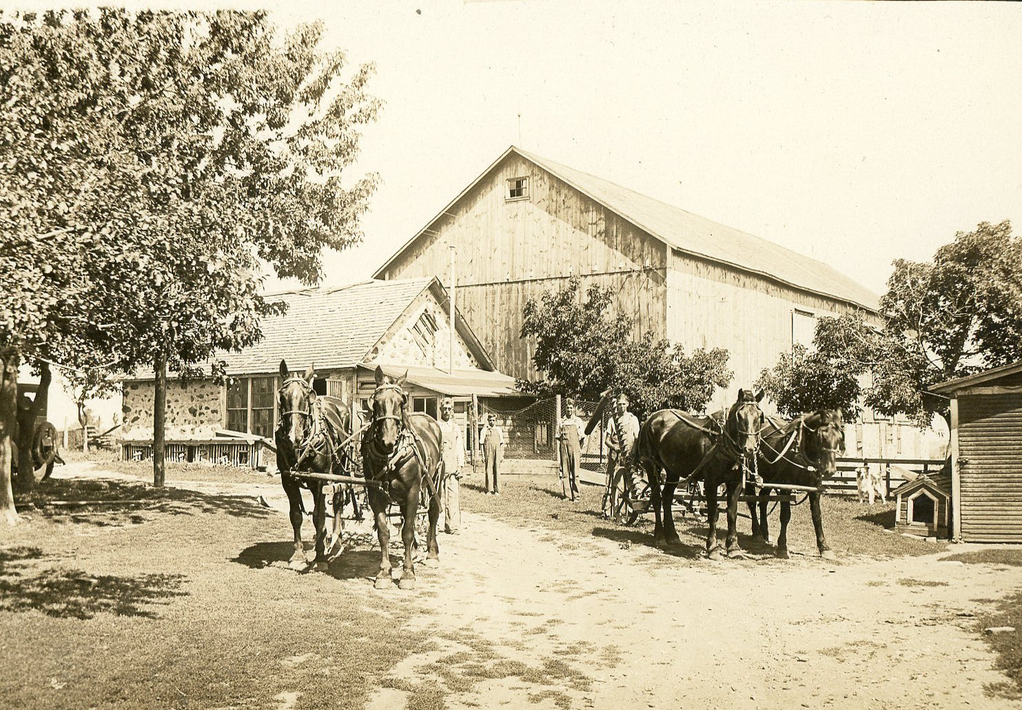 The Farm and Garden