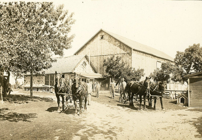 The Farm and Garden