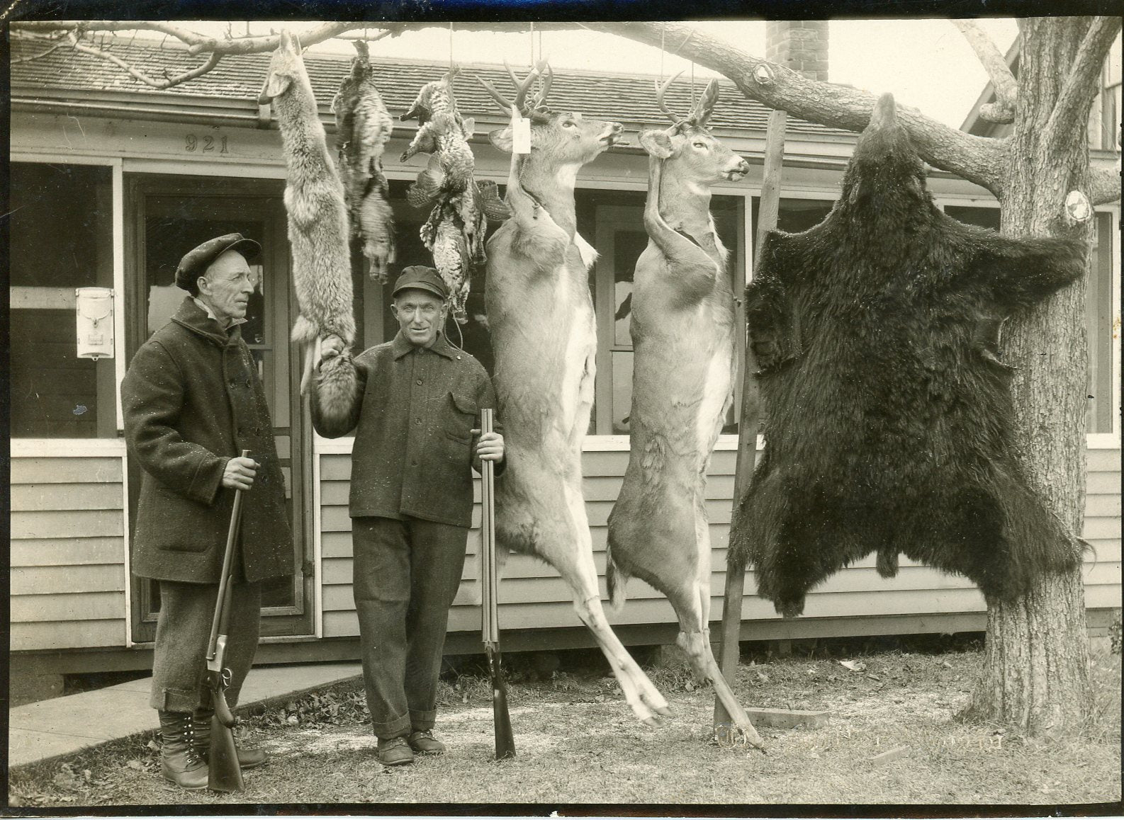 Hunting & Fishing / Decoys