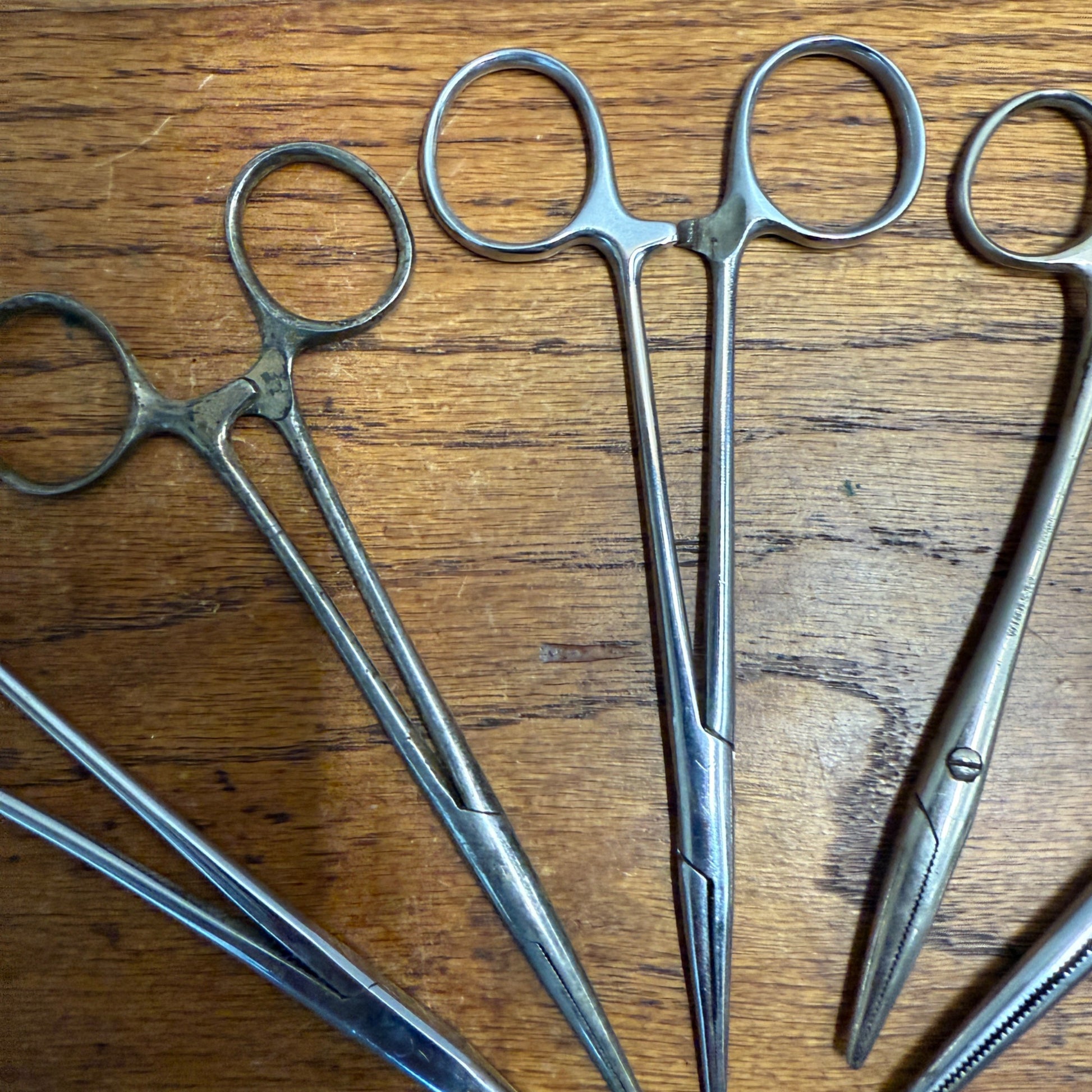 Vintage Lot (5) Medical Tissue Clamps Instruments Windsor Krome Klein ++