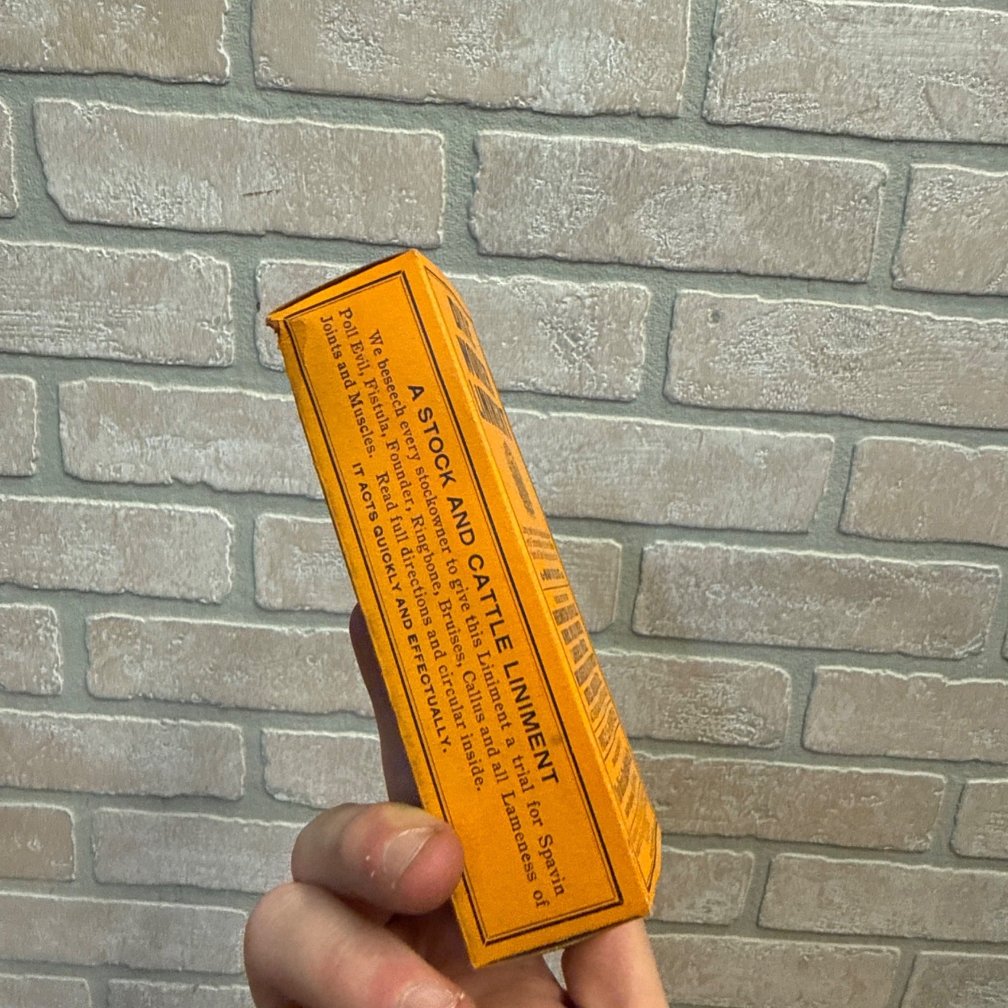Vintage Dixie Stock Remedies Liniment Man or Beast Veterinarian Medicine Empty Box