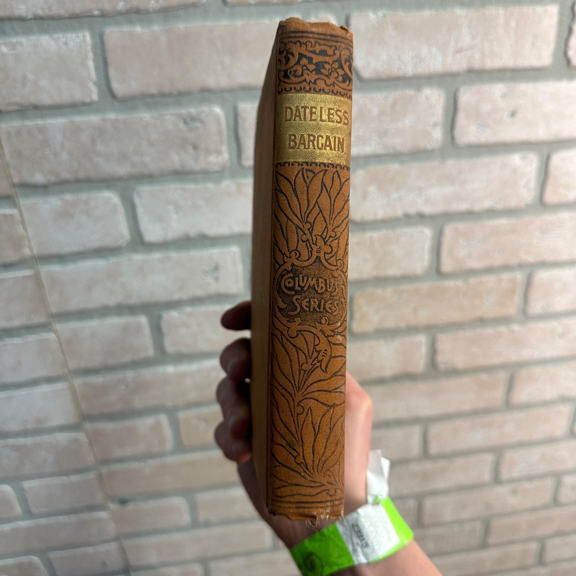 1900s ANTIQUE A DATELESS BARGAIN CATHERINE LOUISA PIRKIS  COLUMBUS SERIES BOOK ORNATE