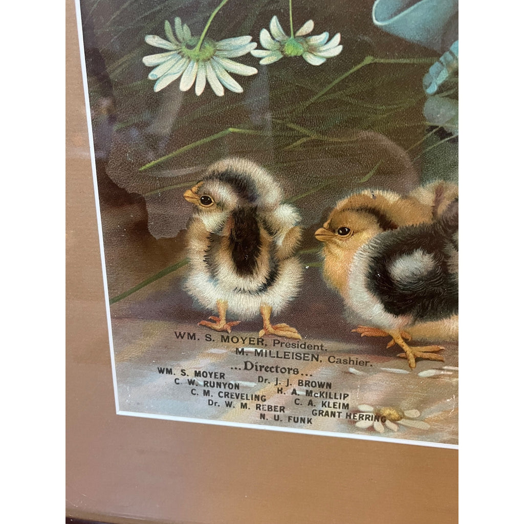 Original Vintage Ben Austrian 1901 Lithograph Advertising Sign Baby Chicks Framed Bloomsburg PA Bank