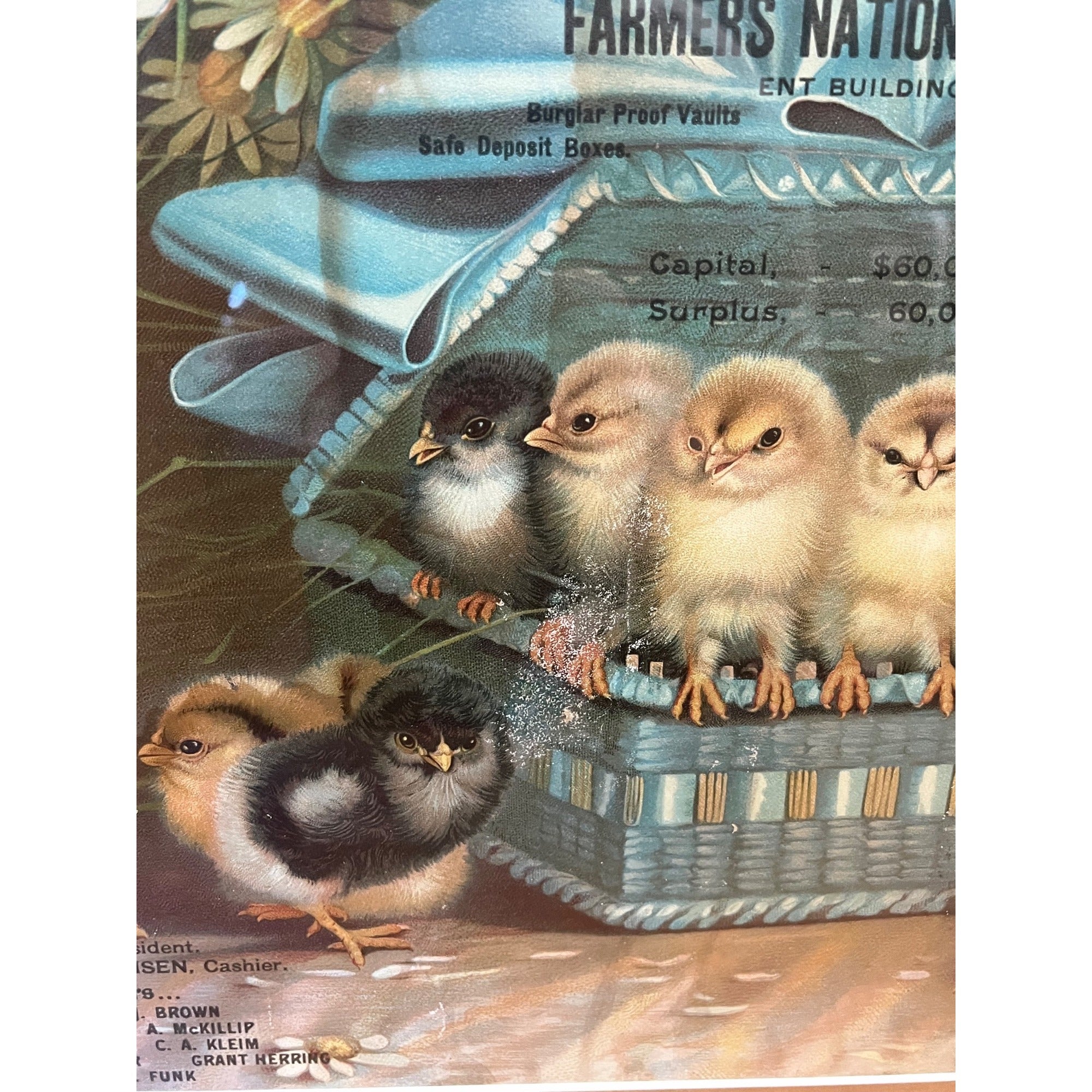 Original Vintage Ben Austrian 1901 Lithograph Advertising Sign Baby Chicks Framed Bloomsburg PA Bank