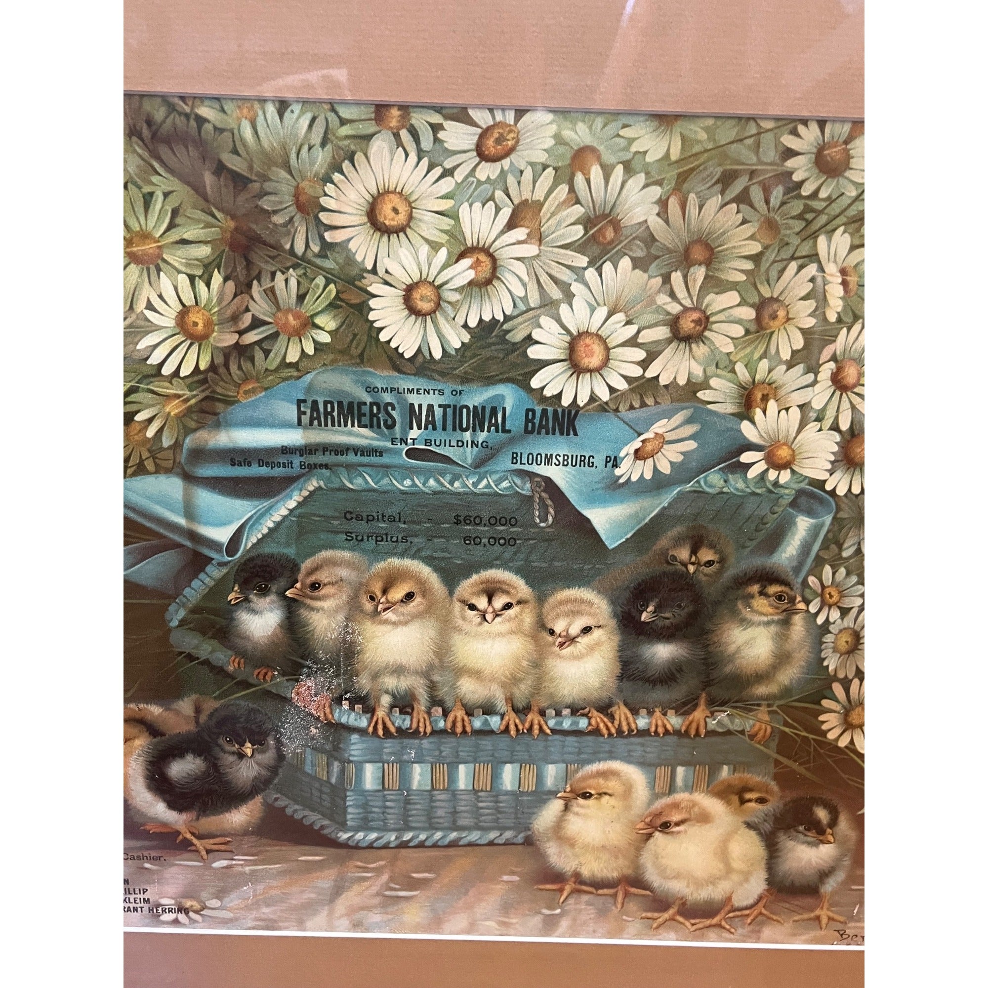 Original Vintage Ben Austrian 1901 Lithograph Advertising Sign Baby Chicks Framed Bloomsburg PA Bank