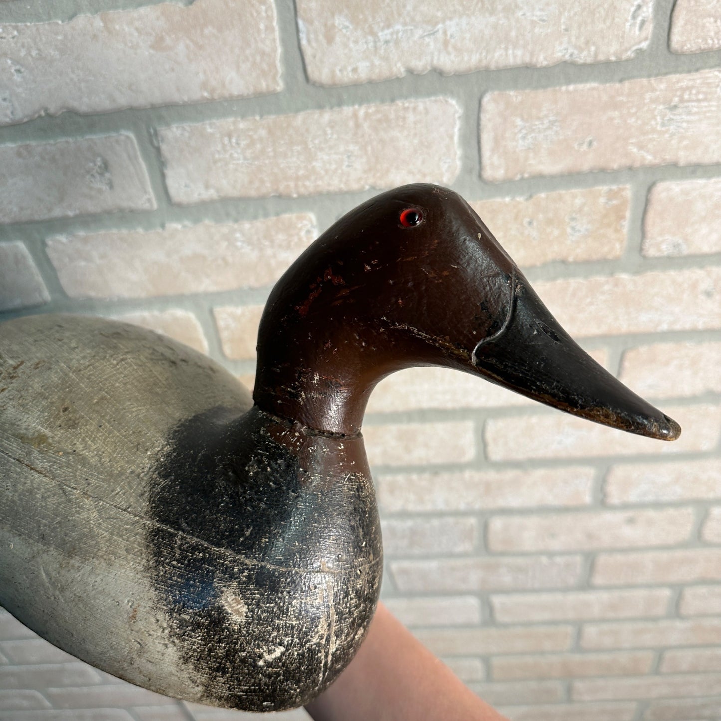 Antique Original Paint Evans Wooden Duck Decoy Mammoth Canvasback Drake