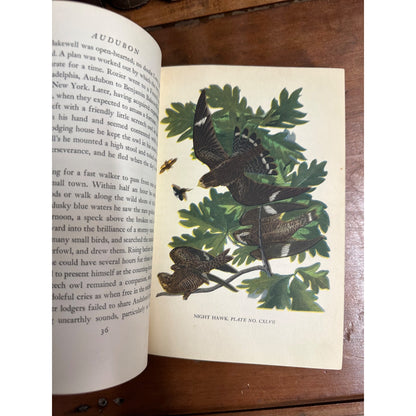 AUDUBON BY CONSTANCE ROURKE-12 COLORED PLATES FROM ORIGINAL AUDUBON PRINTS 1936