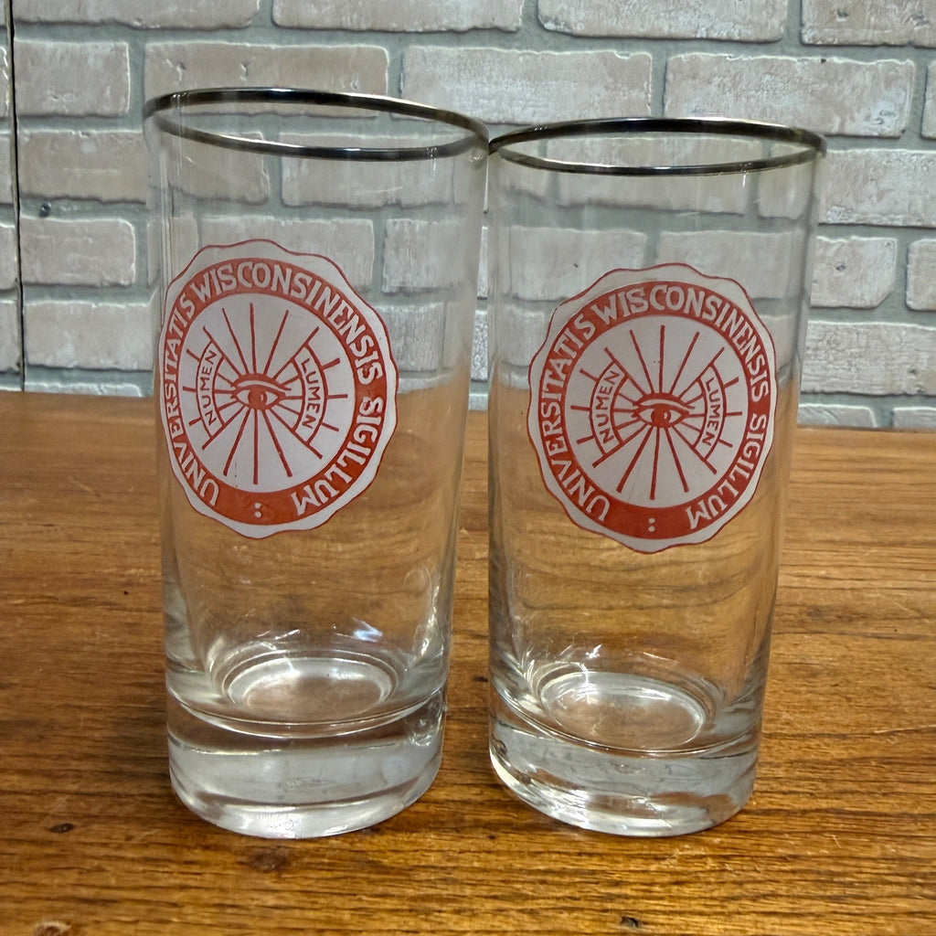 Vintage 1960s University of Wisconsin UW Alumni Glasses (2) Sigillum Lumen Eye