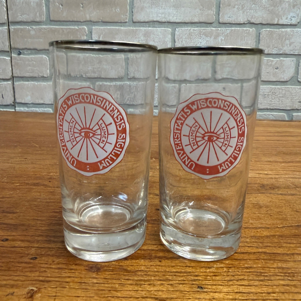 Vintage 1960s University of Wisconsin UW Alumni Glasses (2) Sigillum Lumen Eye