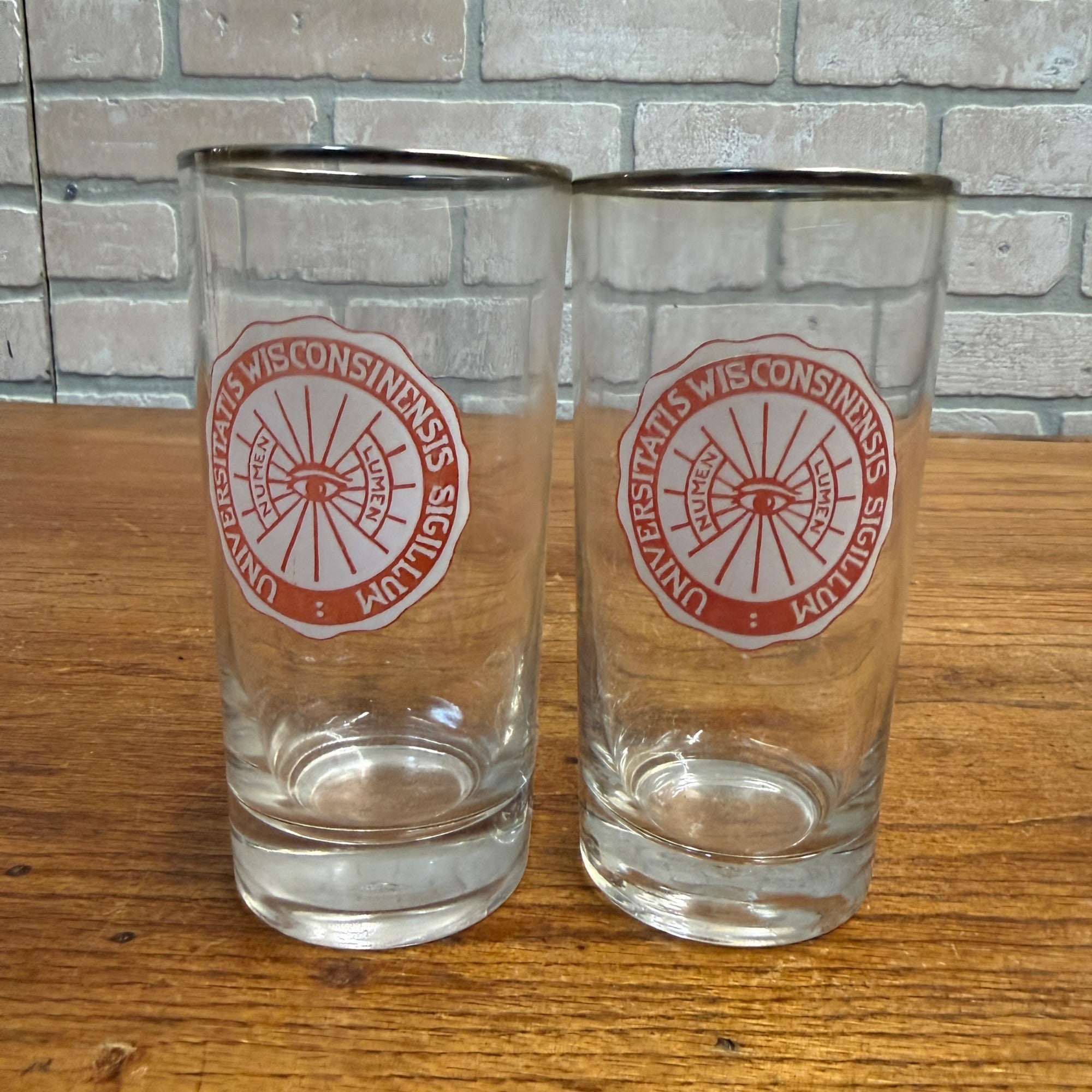 Vintage 1960s University of Wisconsin UW Alumni Glasses (2) Sigillum Lumen Eye