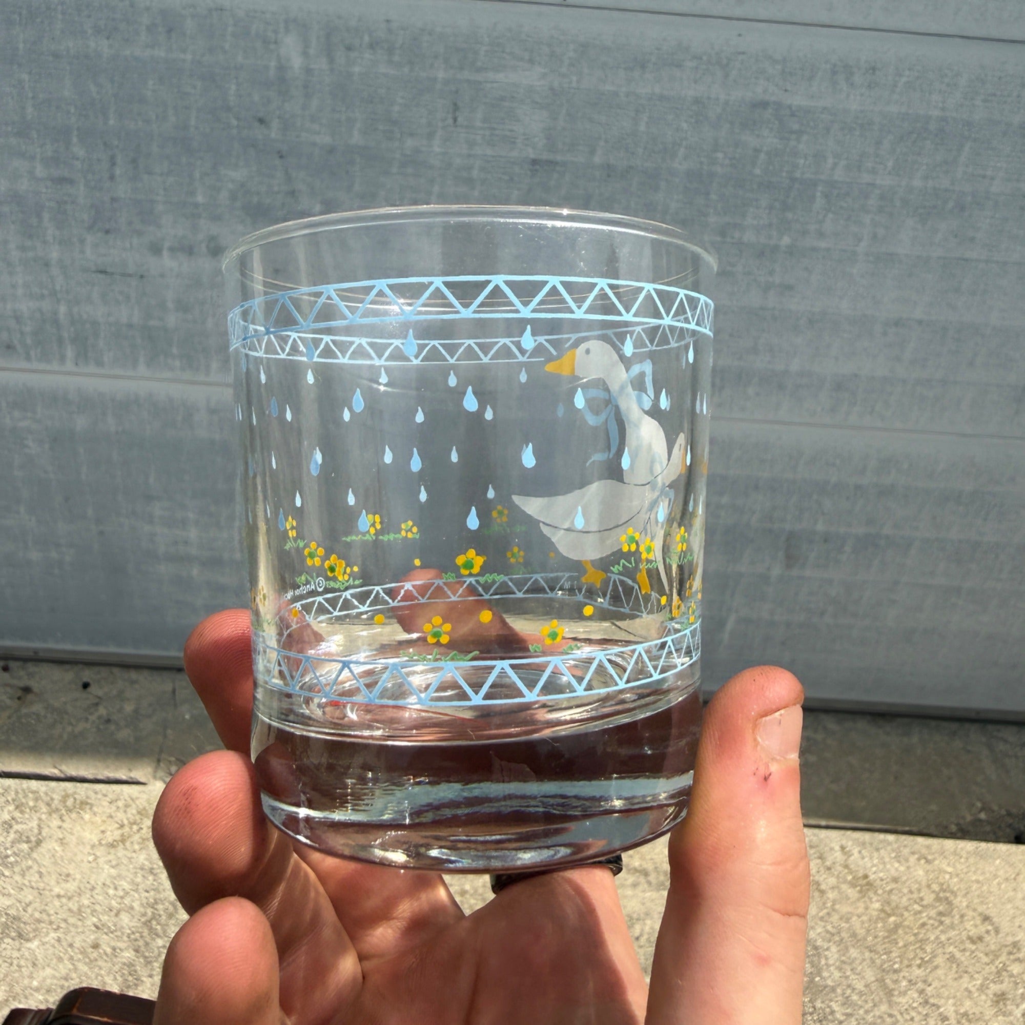 Vintage (4) Country Goose Blue Ribbon Anchor Hocking Low Ball Cocktail Glass Lot of 4