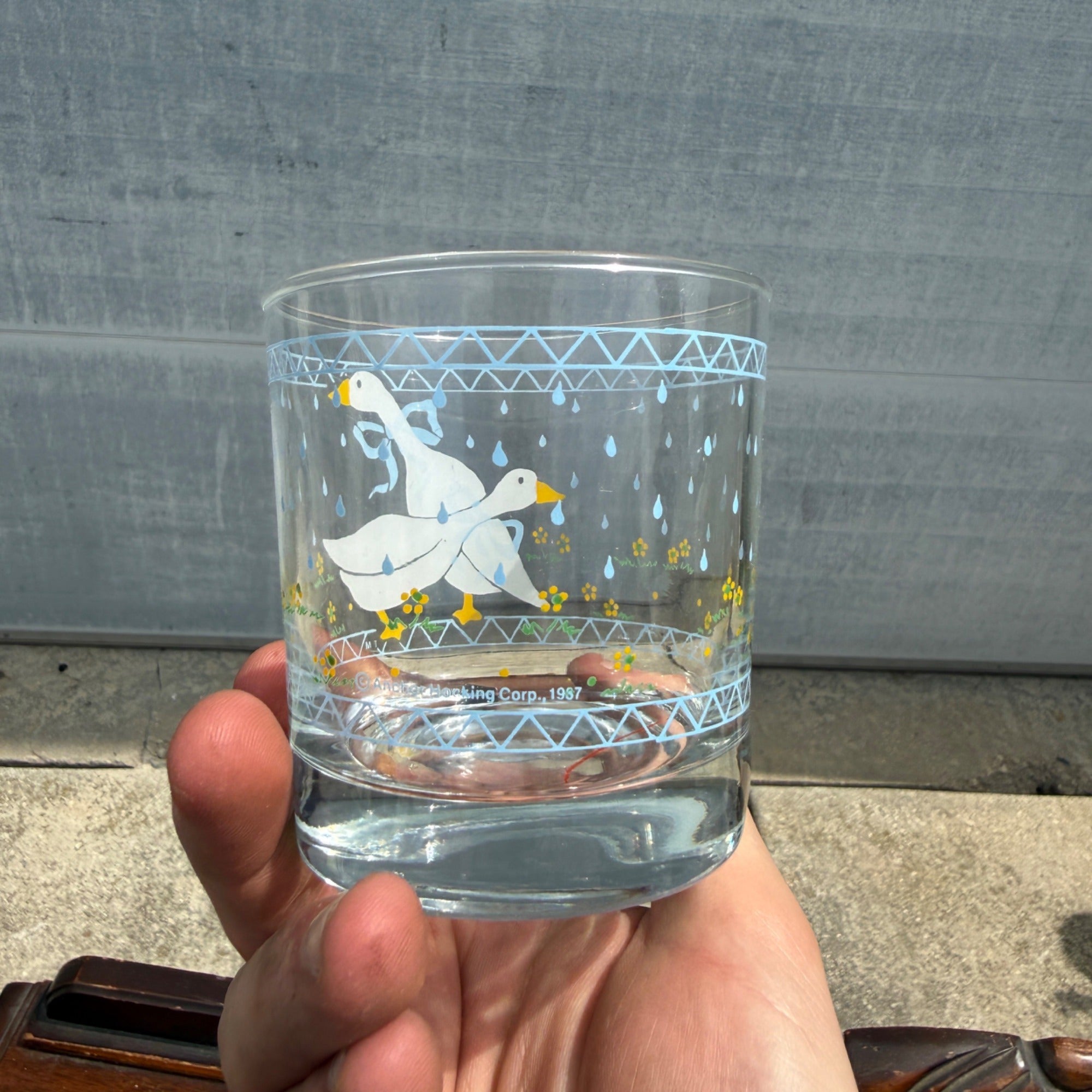 Vintage (4) Country Goose Blue Ribbon Anchor Hocking Low Ball Cocktail Glass Lot of 4