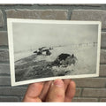 Vintage Dead Livestock Cattle Cows  Snow Storm Wisconsin Wis RPPC Photo Postcard