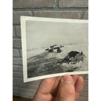 Vintage Dead Livestock Cattle Cows  Snow Storm Wisconsin Wis RPPC Photo Postcard