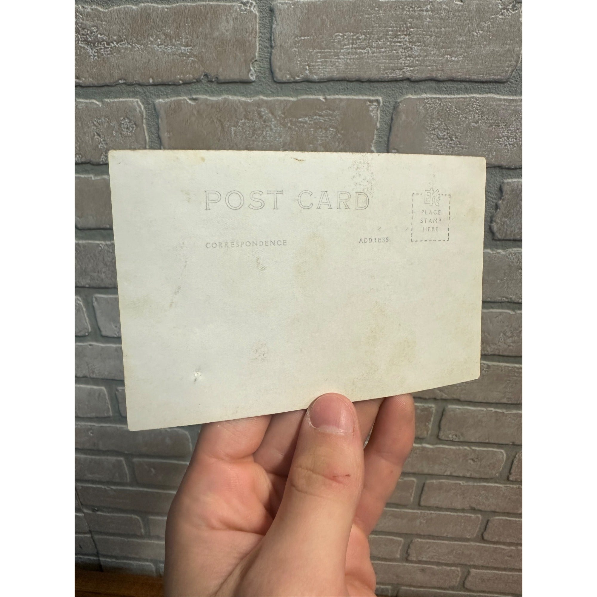 Vintage Dead Livestock Cattle Cows  Snow Storm Wisconsin Wis RPPC Photo Postcard