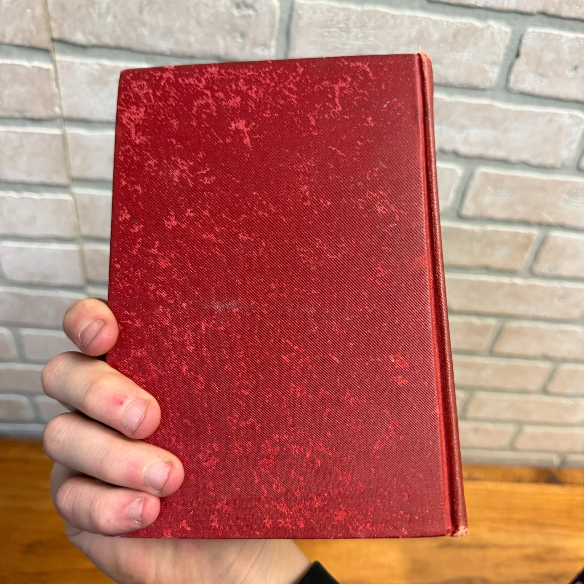 Dri & I Irving Bacheller Ornate Victorian Book Hardcover 1902