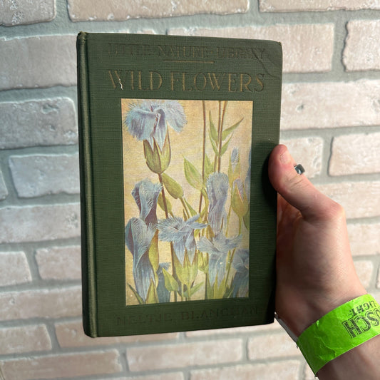 LITTLE NATURE LIBRARY WILDFLOWERS ANTIQUE BOOK NELTJE BLANCHAN 1922 ILLUSTRATED