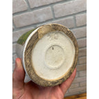 Antique Sears Roebuck Rivera Brand Jelly Jam Stoneware Crock Advertising Primitive Farmhouse