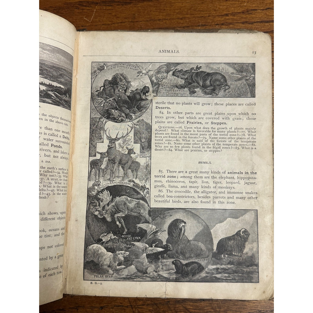 Antique 1883 The Eclectic Elementary Geography School Book Hardcover