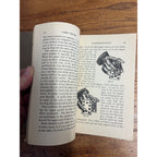 1928 Card Tricks Magic Magician by Professor Romanoff 151 Page Book