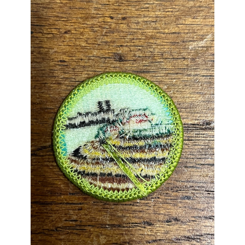 Vintage Soil and Water Conservation Merit Badge Boy Scouts of America BSA Patch