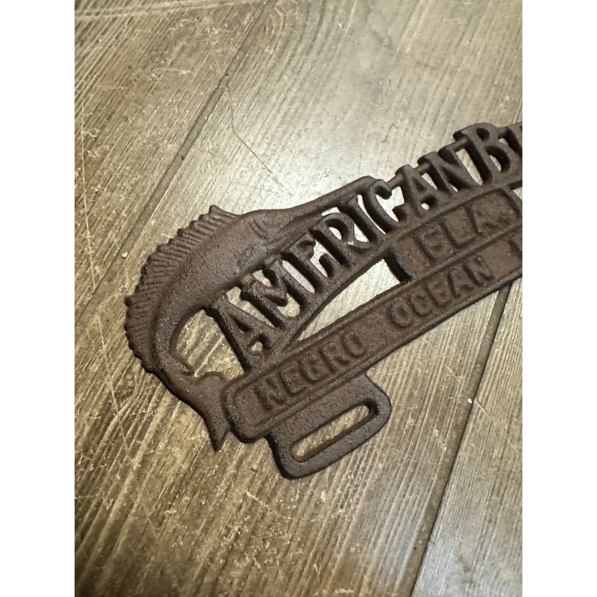 Cast Iron American Beach Florida Ocean Playground License Plate Topper