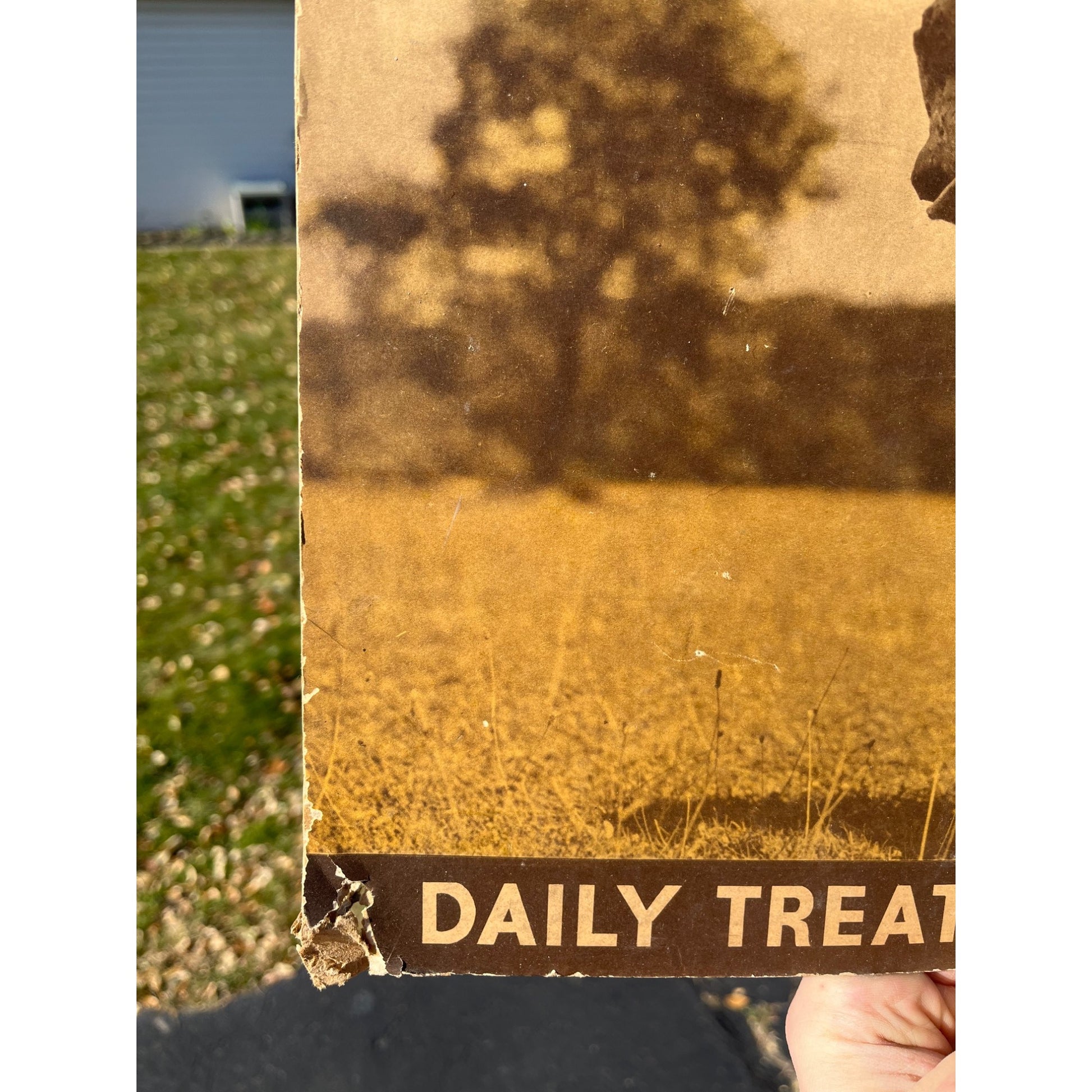 Vintage Child Life Shoes Cardboard Advertising Easelback Sign Store Display