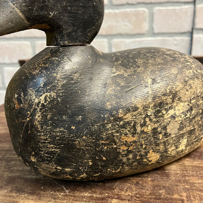 Vintage Humpback Bluebill Duck Decoy Hunting Bird