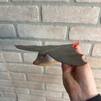 ANTIQUE VINTAGE BAT W/ WINGS ICE FISHING SPEARING DECOY WEIGHTED SIGNED