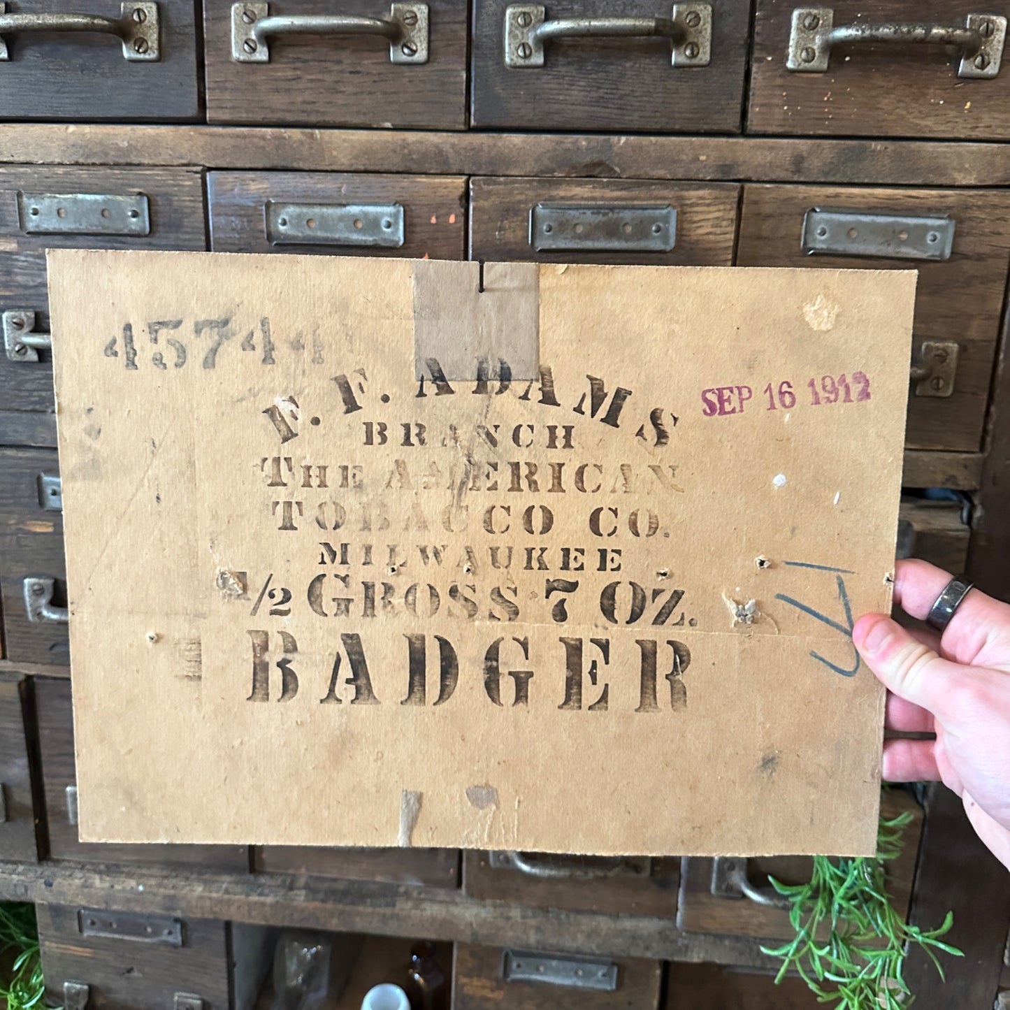 1912 Antique FF Adams American Tobacco Co Milwaukee Badger Cardboard Sign