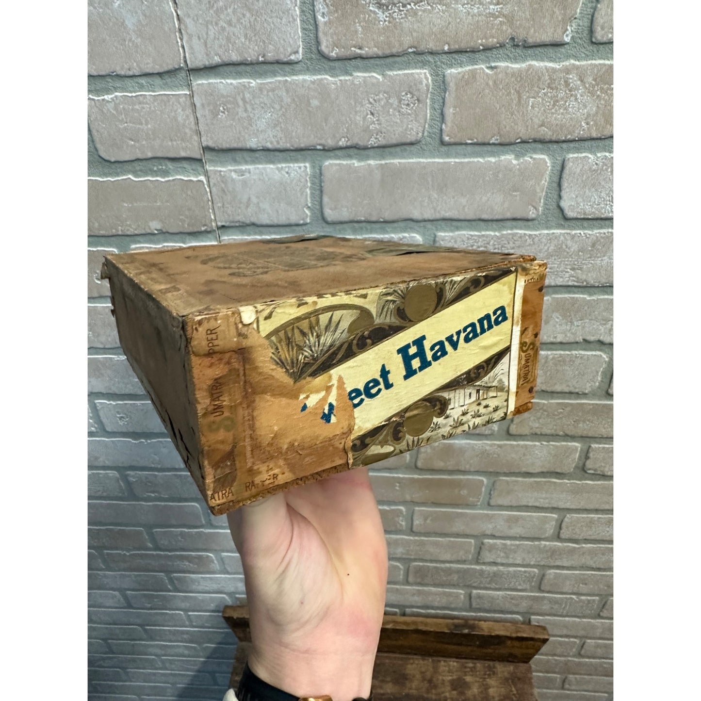 RARE Vintage 1900s Sweet Havana Wooden Cigar Box Robert Lill Manitowoc Wis