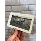 RPPC Postcard ~ Walk Behind Plow Horse Drawn Horses Farm Farmer Wisconsin
