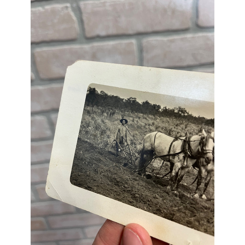 RPPC Postcard ~ Walk Behind Plow Horse Drawn Horses Farm Farmer Wisconsin