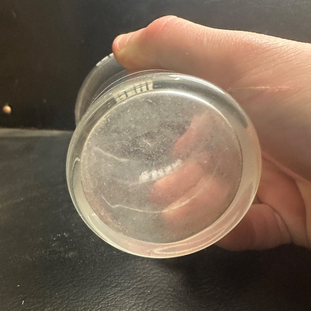 Vintage Nehi Syrup Line White ACL Soda Fountain Glass 4-1/2" Advertising