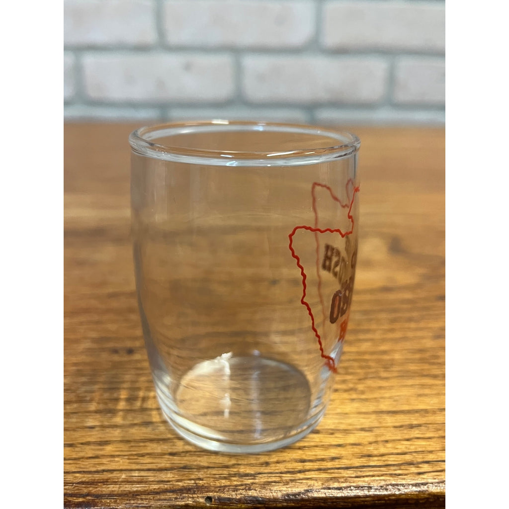 Chief Oshkosh Barrel Beer Glass ACL Oshkosh Wisconsin Brown and Red Variation