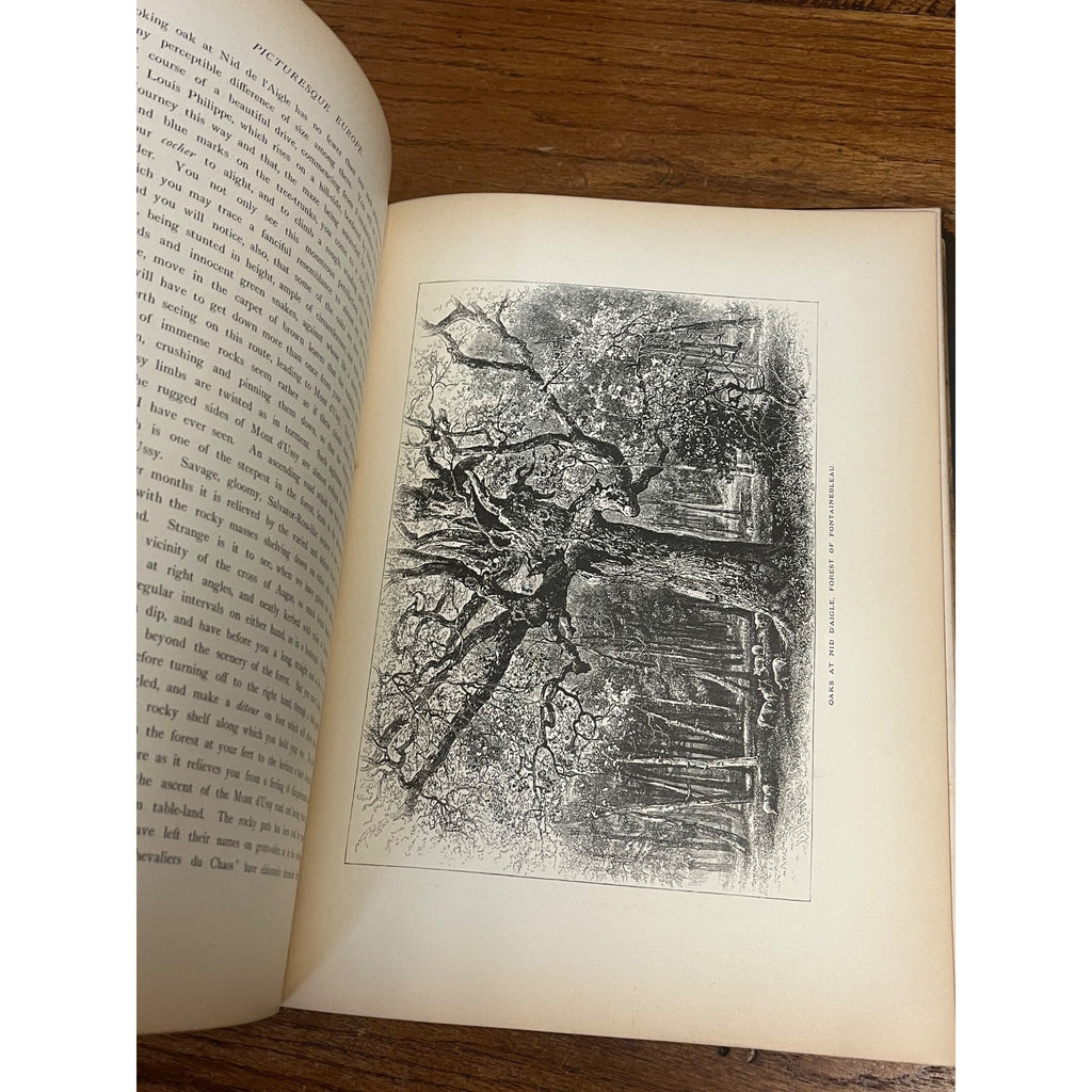 Antique 1878 Picturesque Europe Vol. II Hardcover Book Illustrated -- As-Is