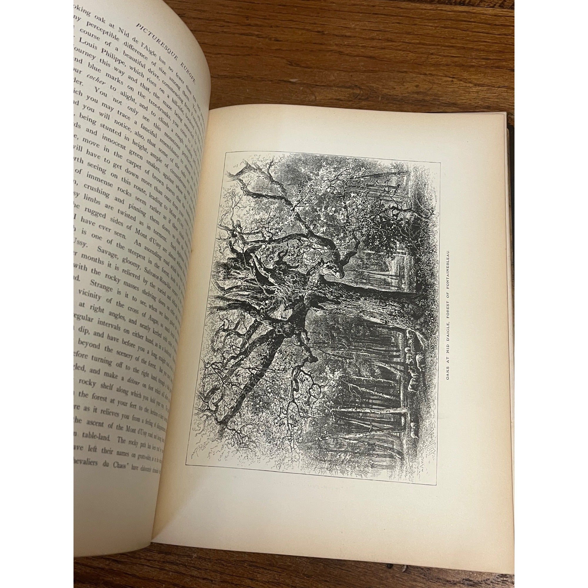 Antique 1878 Picturesque Europe Vol. II Hardcover Book Illustrated -- As-Is