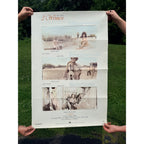 Original 3 Women Movie Poster (1977) Robert Altman, Shelley Duvall, Sissy Spacek!