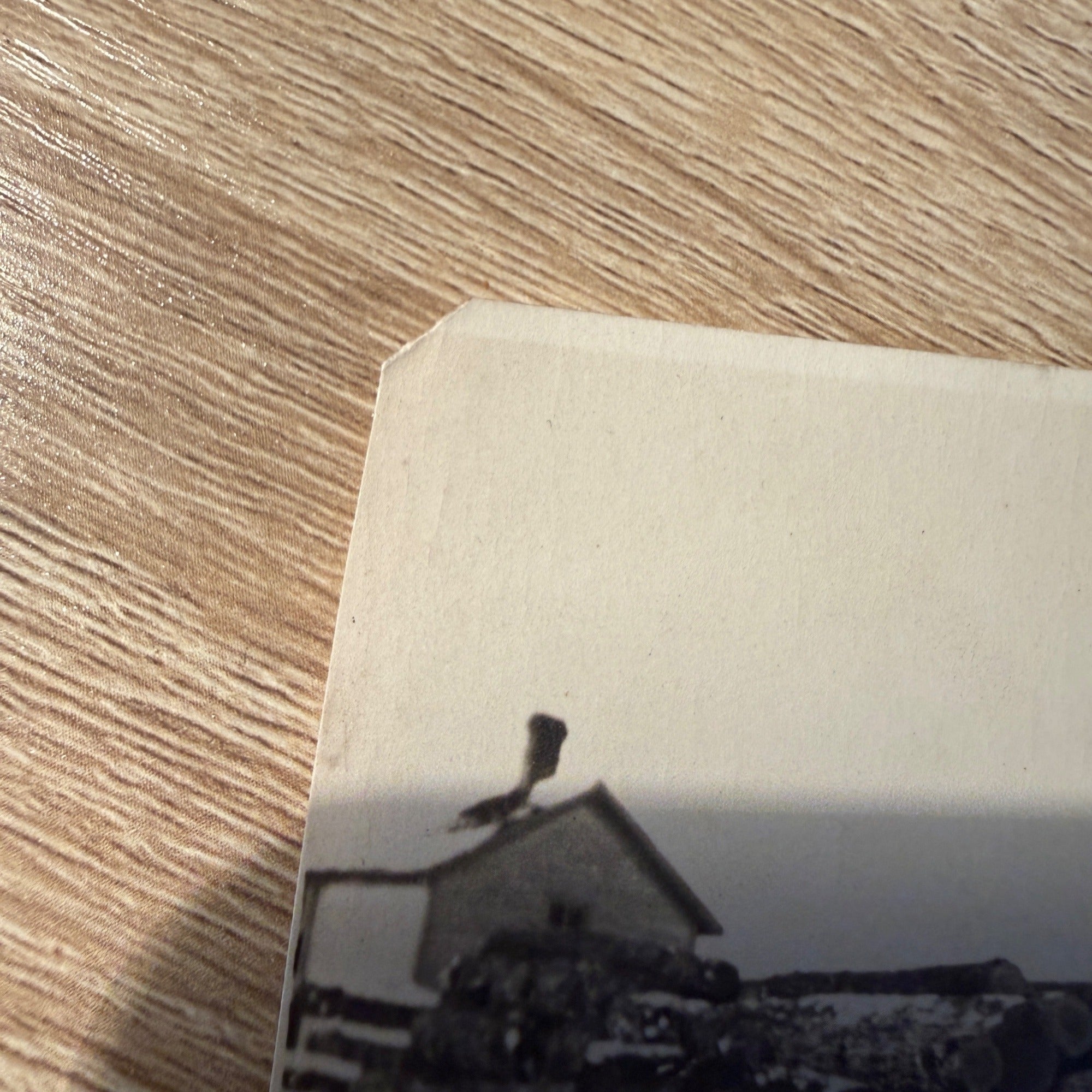 Photograph Men Logging Lumber Northern Wisconsin RPPC