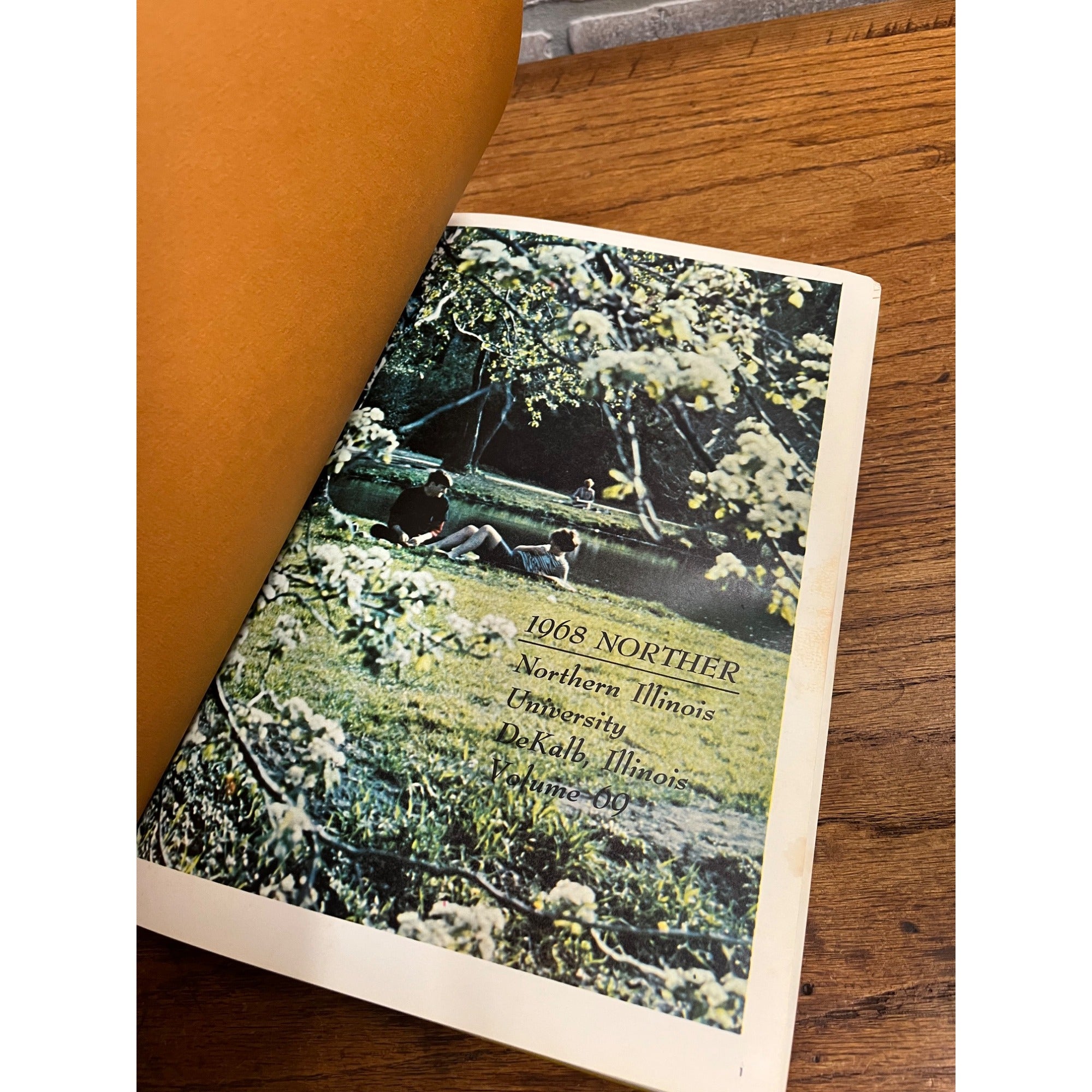 Northern Illinois University 1968 - Perspectives 1968 Norther Vol. 69 Hardcover Year Book