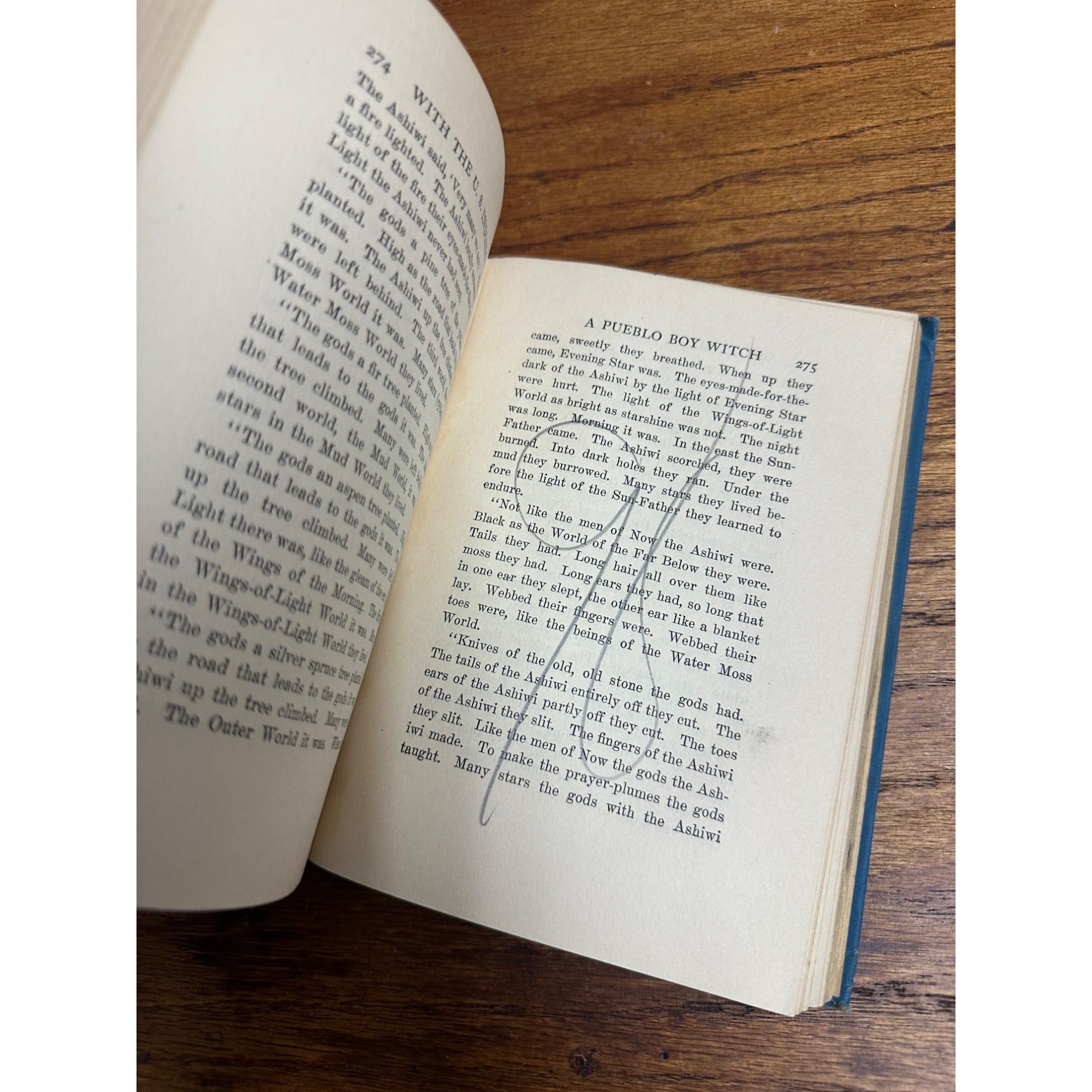 The Boy With The US Indians Native Americans Adventure 1913 U.S. Service Series