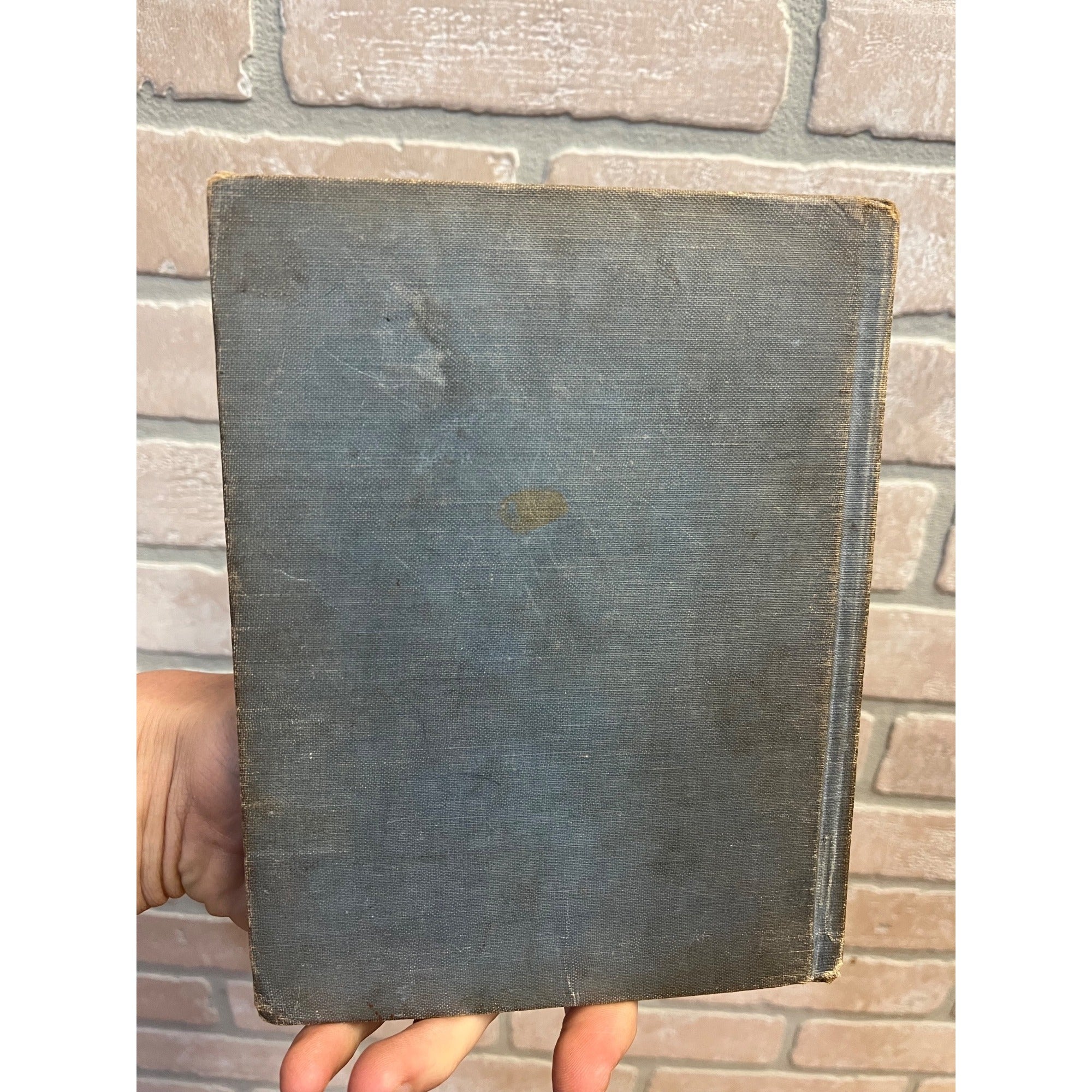1920 Mother Goose Story Book Frederick Richardson Illustrations Hardcover Book Antique Vintage
